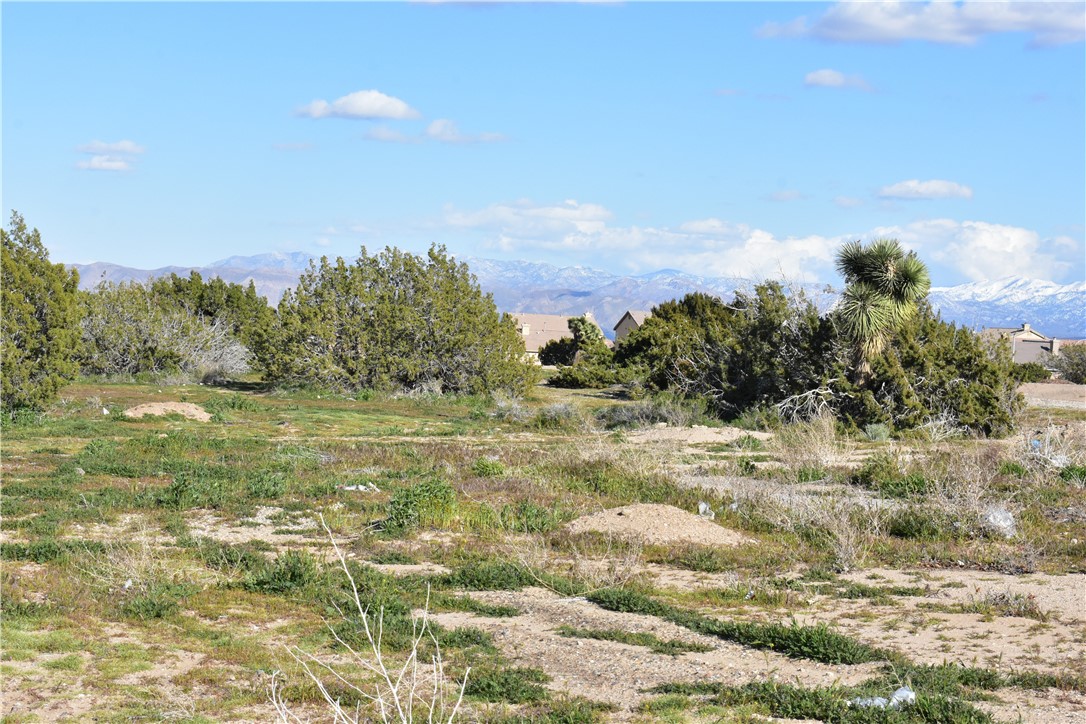 0 Escondido Avenue Hesperia, CA 92344 - Photo 27 of 58 a view of a field of grass and trees