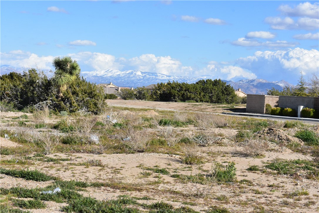 0 Escondido Avenue Hesperia, CA 92344 - Photo 28 of 58 a view of dirt field with trees in background