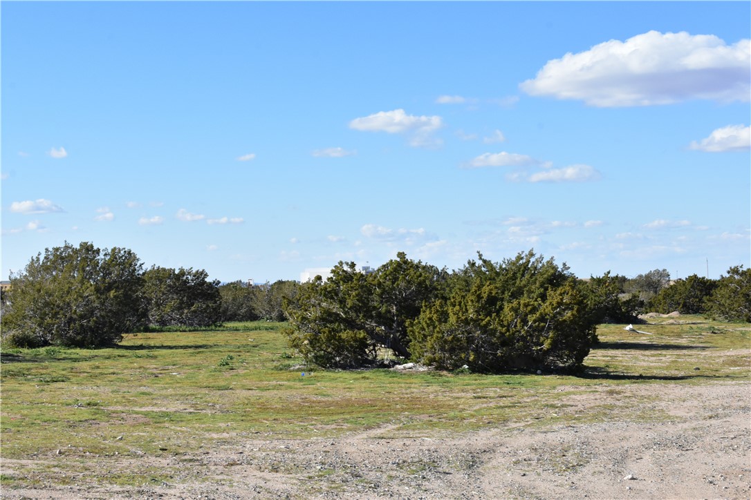 0 Escondido Avenue Hesperia, CA 92344 - Photo 33 of 58 a view of a field with an ocean