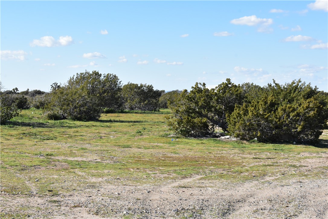 0 Escondido Avenue Hesperia, CA 92344 - Photo 37 of 58 a view of a field of grass and trees