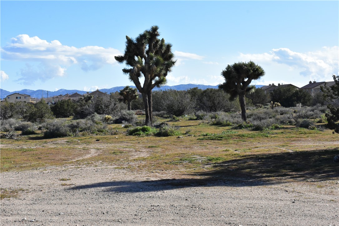 0 Escondido Avenue Hesperia, CA 92344 - Photo 40 of 58 a view of a dry yard with wooden fence