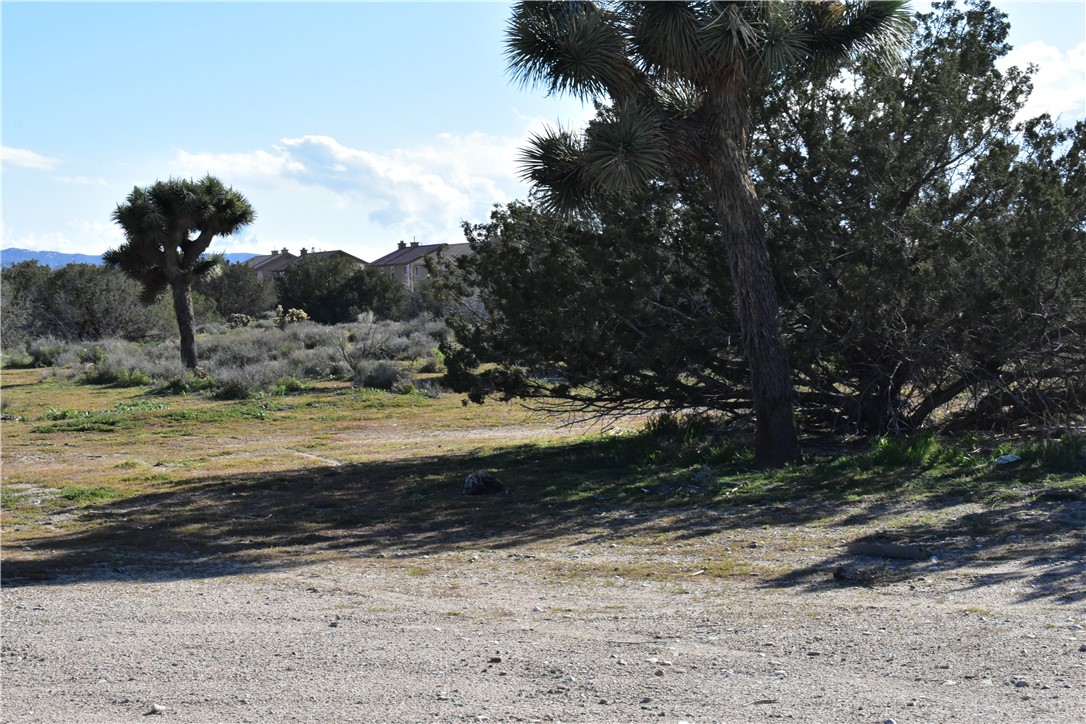 0 Escondido Avenue Hesperia, CA 92344 - Photo 41 of 58 a view of lake view with tree