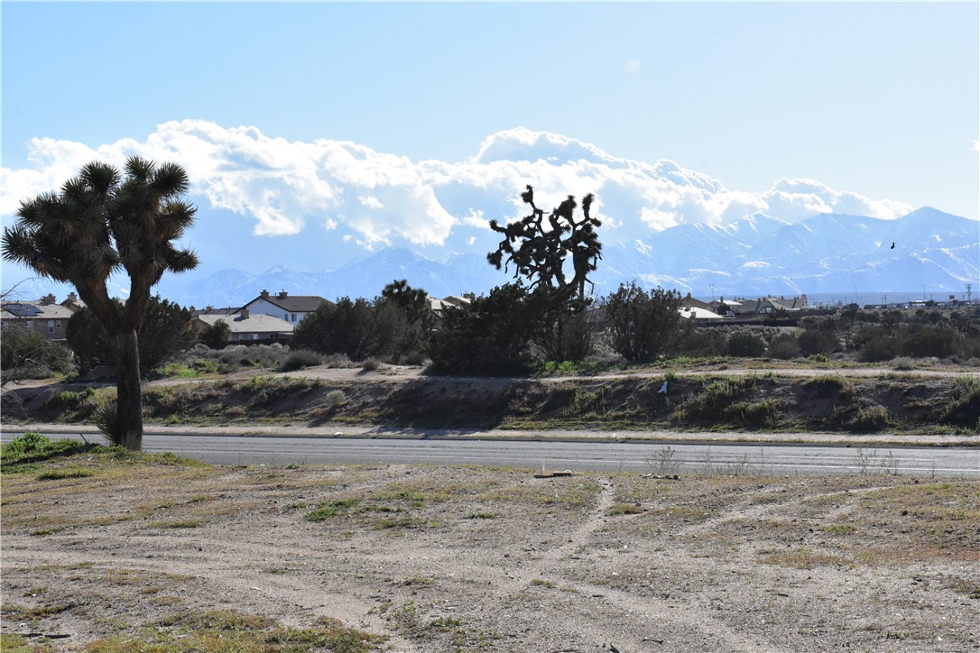 0 Escondido Avenue Hesperia, CA 92344 - Photo 42 of 58 a view of a dry yard with trees