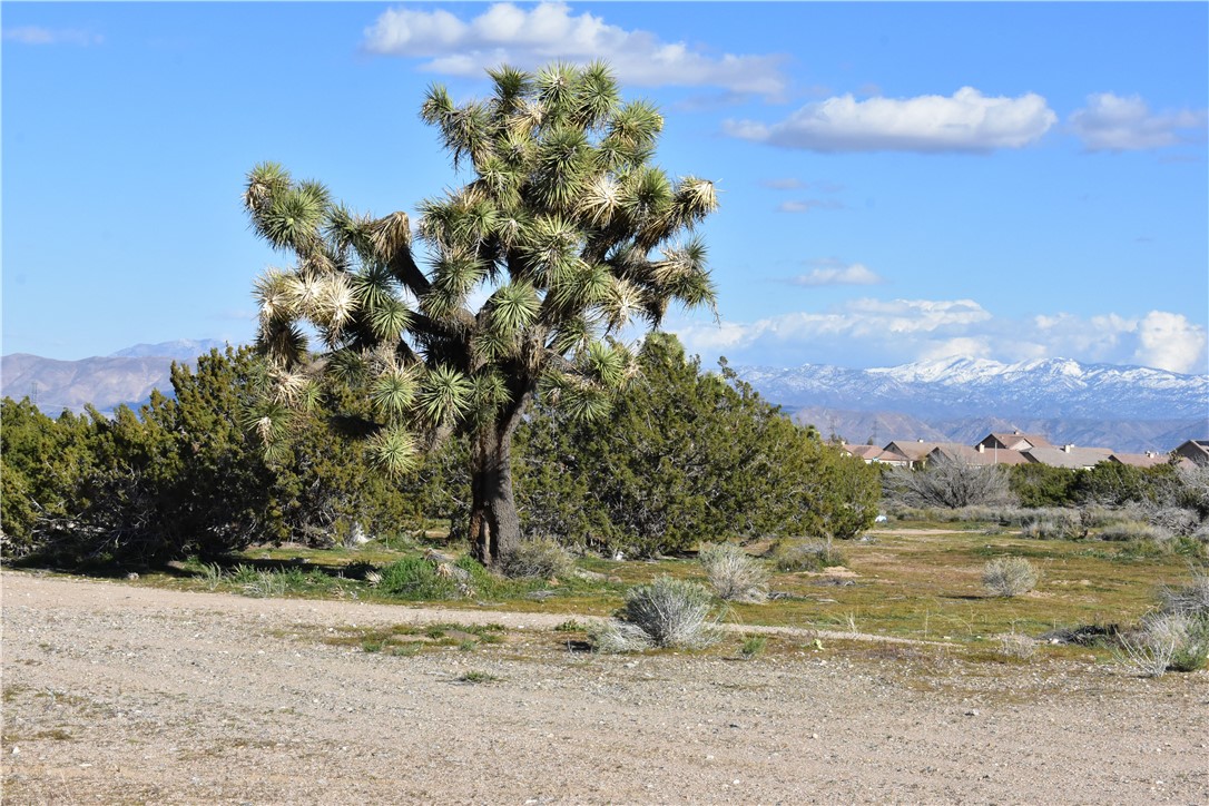 0 Escondido Avenue Hesperia, CA 92344 - Photo 47 of 58 a view of a lake with a mountain