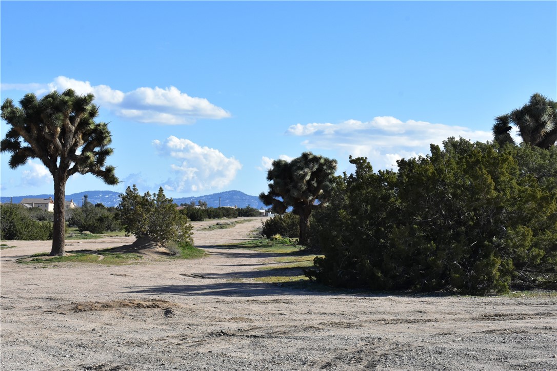 0 Escondido Avenue Hesperia, CA 92344 - Photo 50 of 58 a view of park on side of street