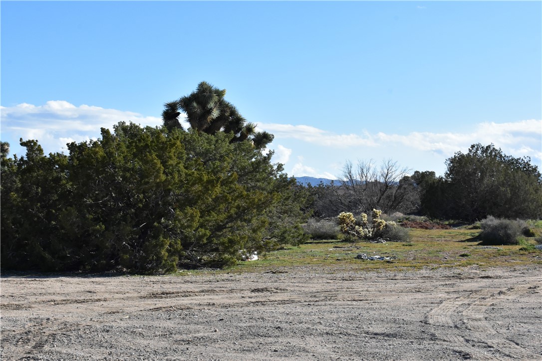 0 Escondido Avenue Hesperia, CA 92344 - Photo 51 of 58 a view of a yard
