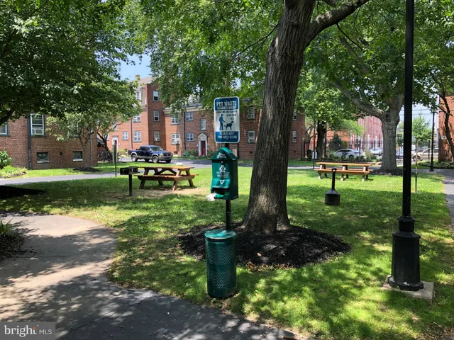 a view of a park with large trees