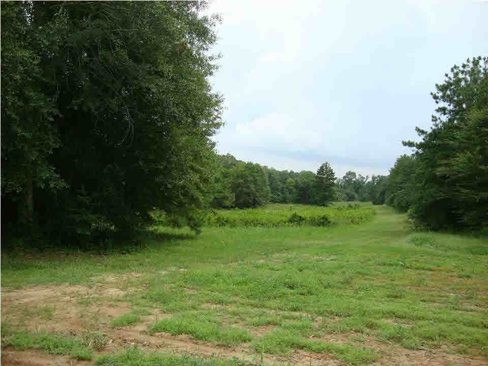 143 St Catherine Road, Unit 7 Canton, MS 39046 - Photo 1 of 1 Photo 1