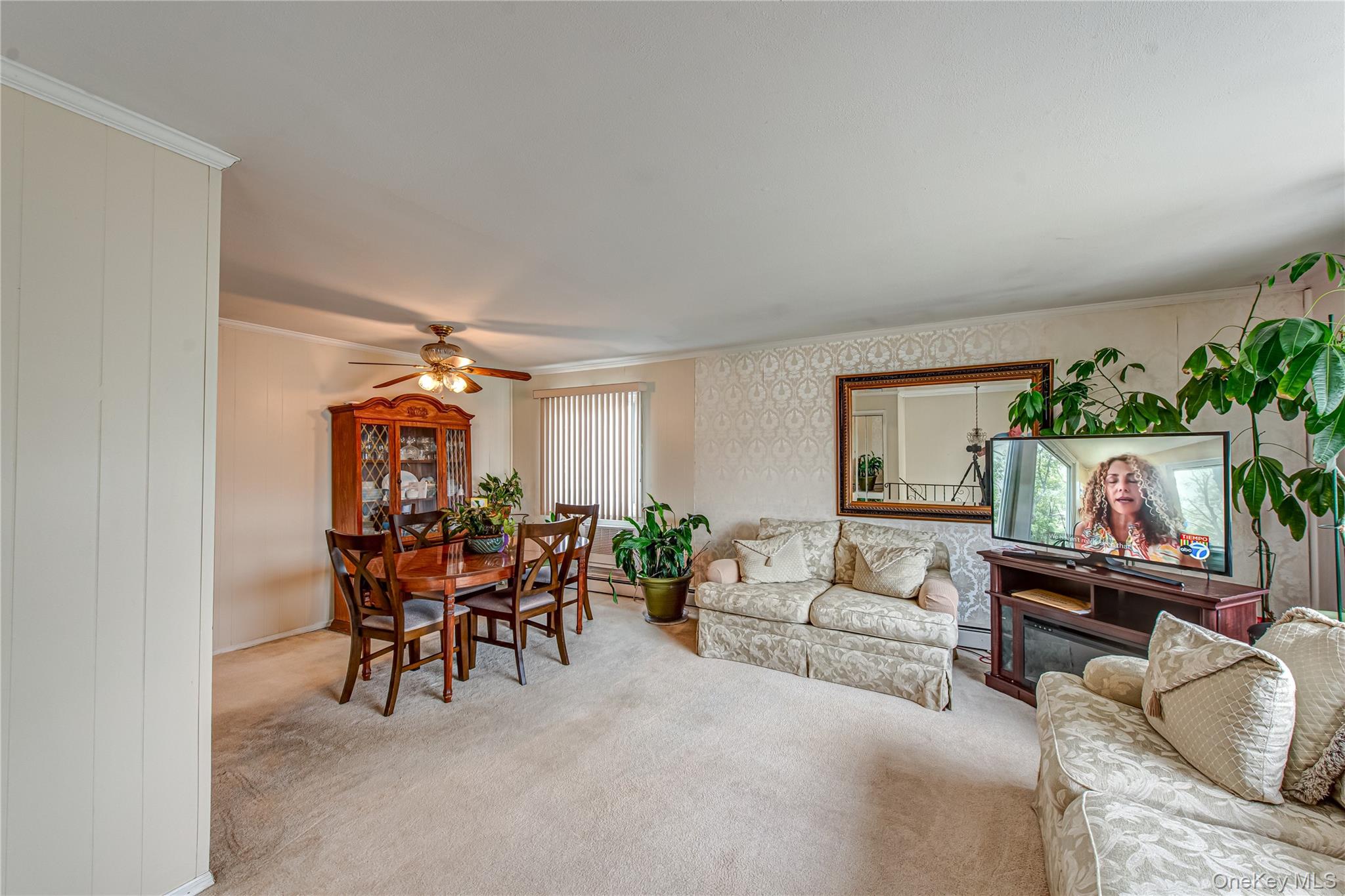 15 Major Road Massapequa, NY 11758 - Photo 8 of 25 a living room with furniture and a potted plant