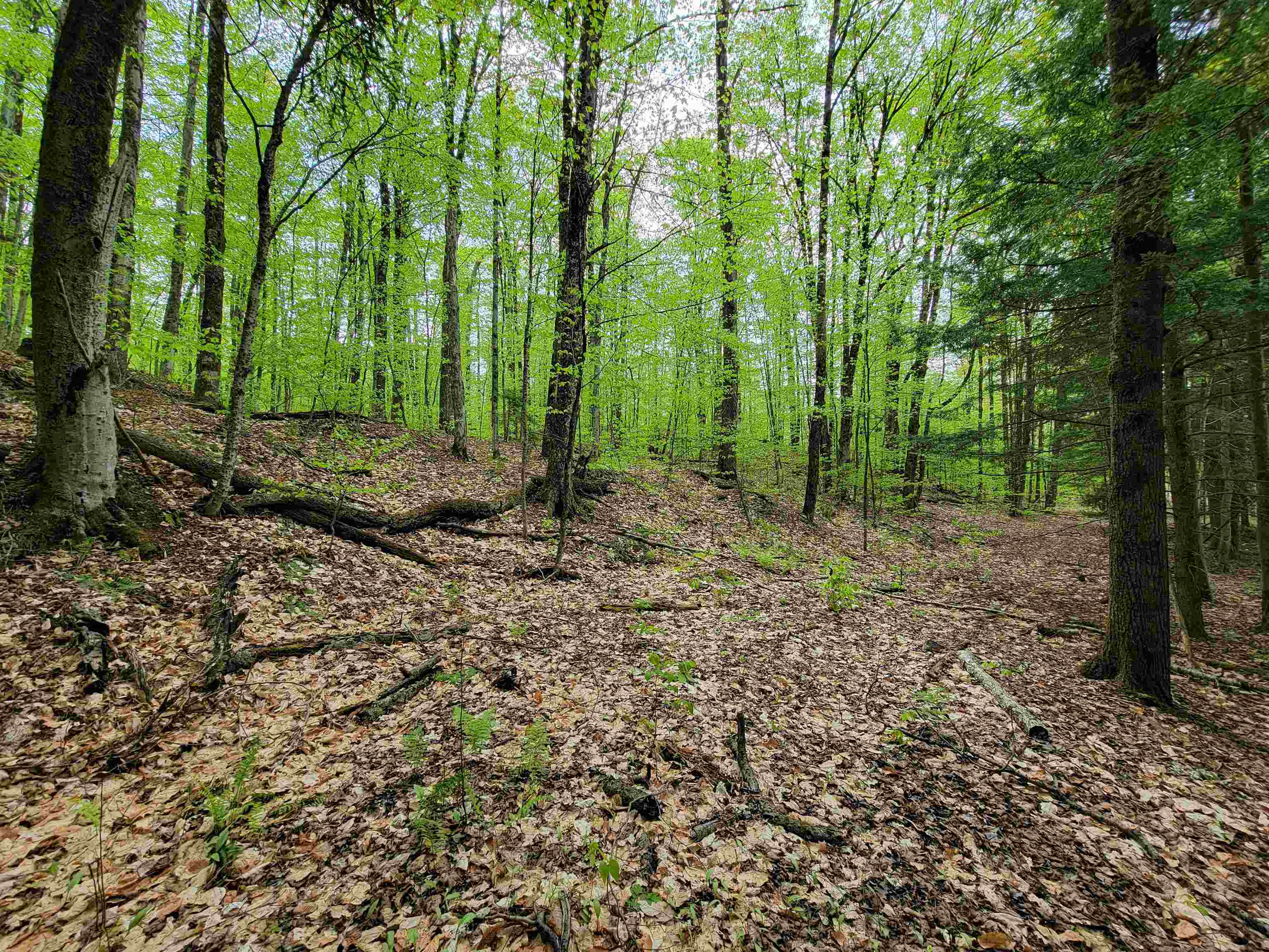 660 Brookview Lane Wolcott, VT 05680 - Photo 45 of 60