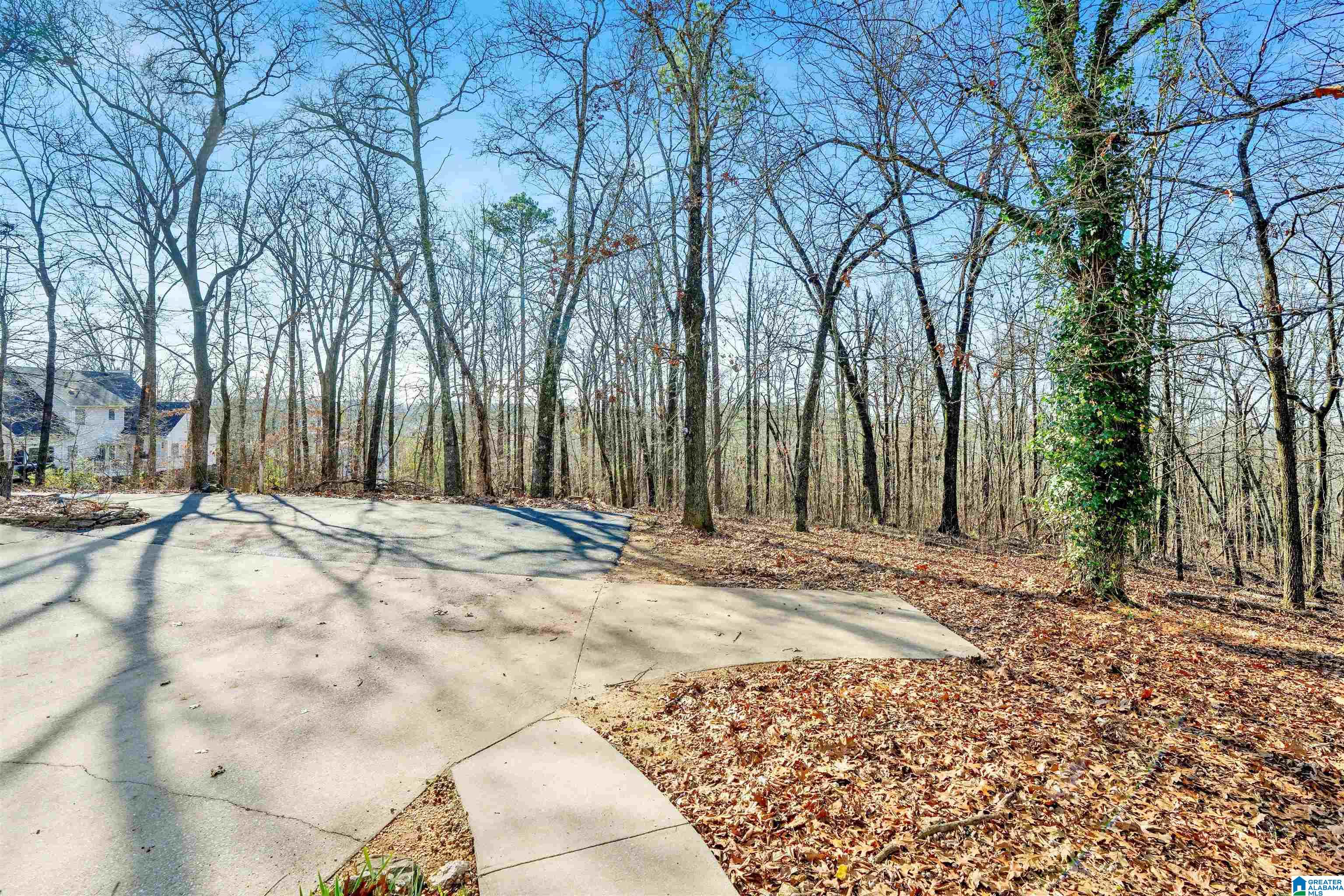 150 Chestnut Drive Alabaster, AL 35007 - Photo 54 of 61
