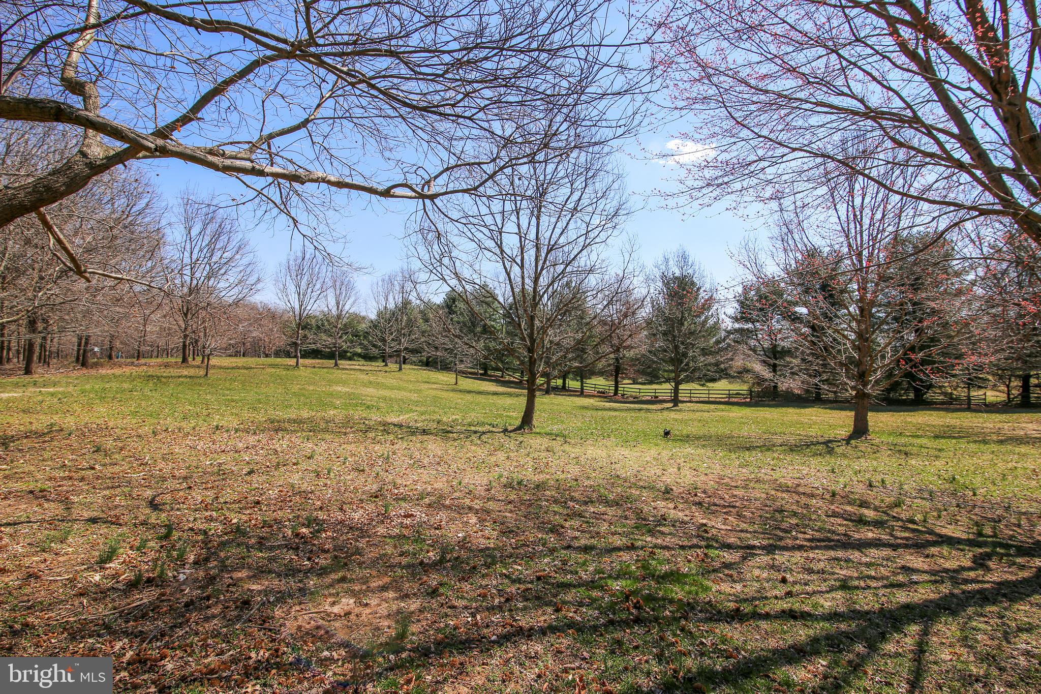 5917 Griffith Road Gaithersburg, MD 20882 - Photo 50 of 53 Gallery Image 50