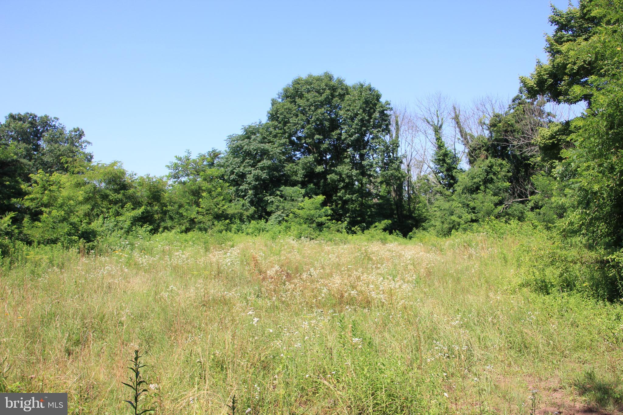 Lot South River Road Halifax, PA 17032 - Photo 13 of 15 Gallery Image 13