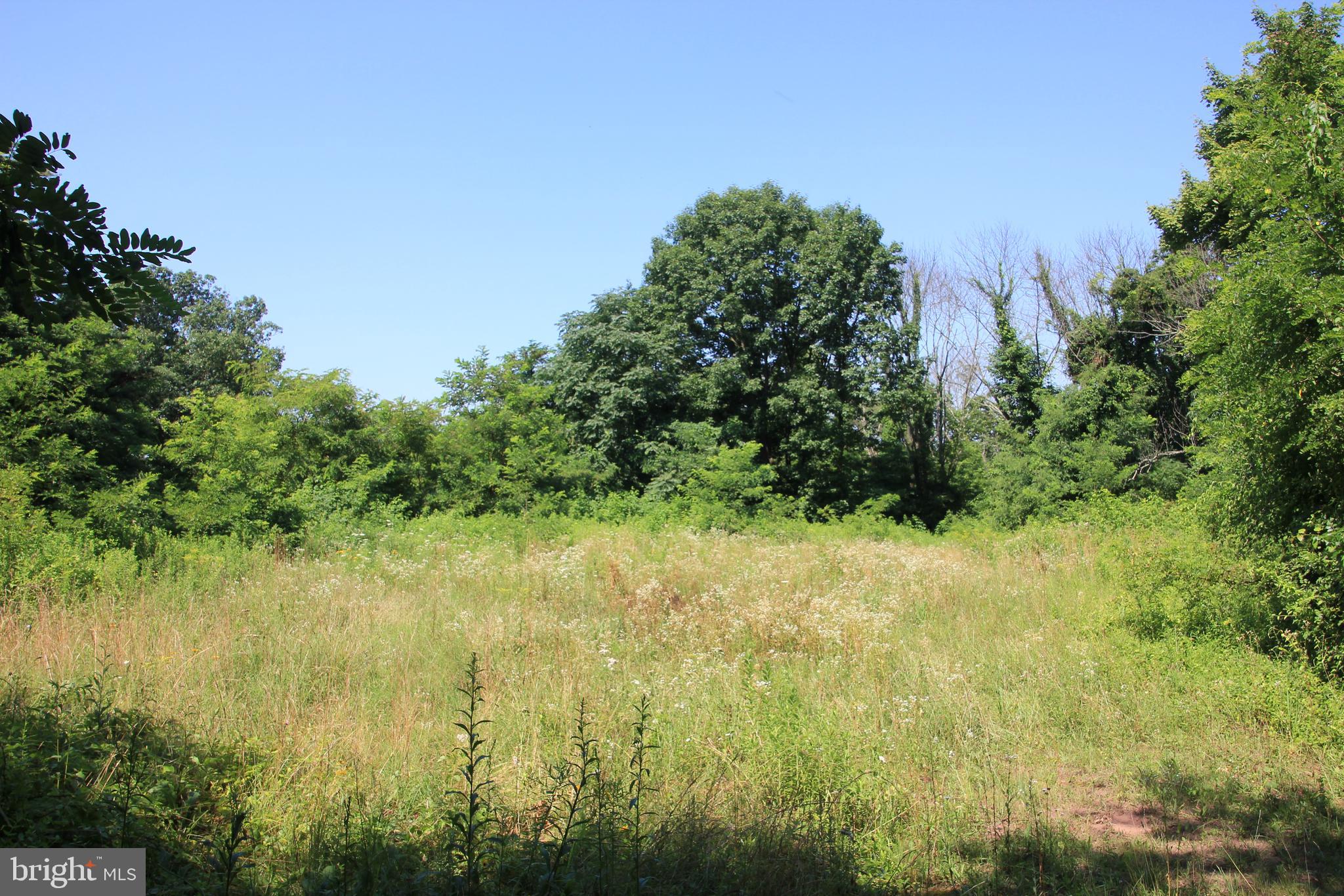 Lot South River Road Halifax, PA 17032 - Photo 14 of 15 Gallery Image 14
