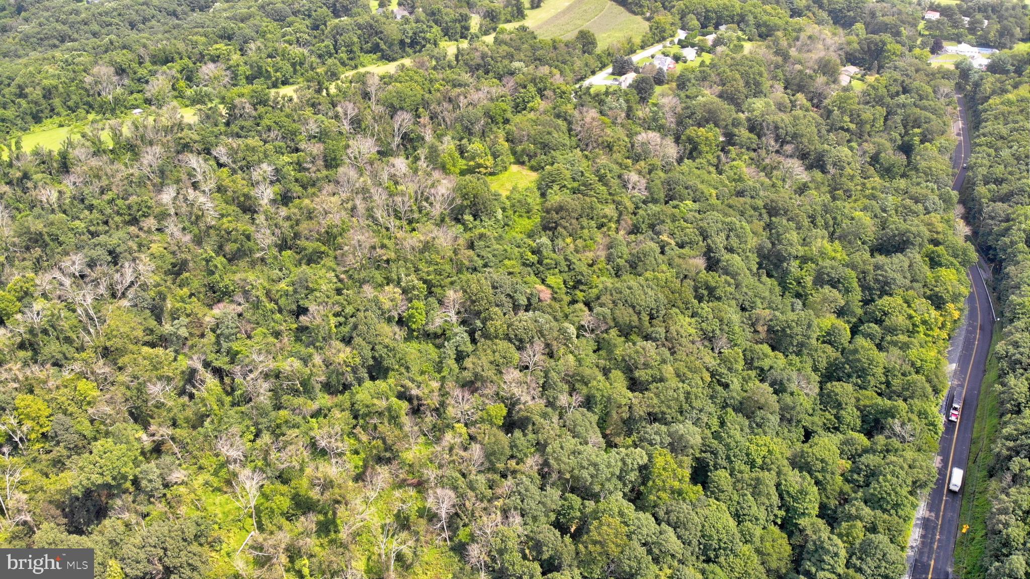 Lot South River Road Halifax, PA 17032 - Photo 6 of 15 Gallery Image 6