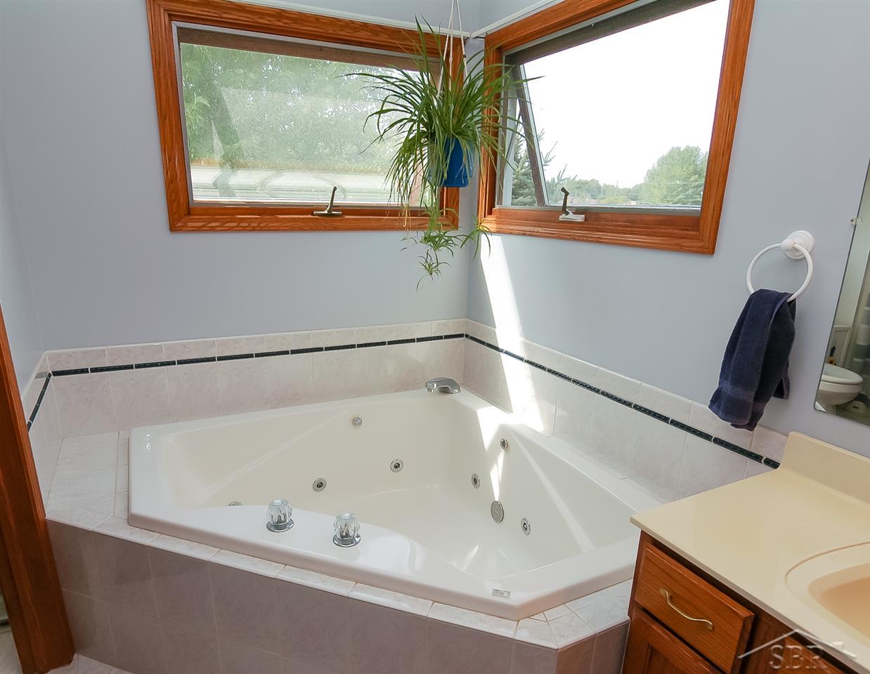 219 Colorado Ridge Hemlock, MI 48626 - Photo 19 of 28 31303157-18.JPG