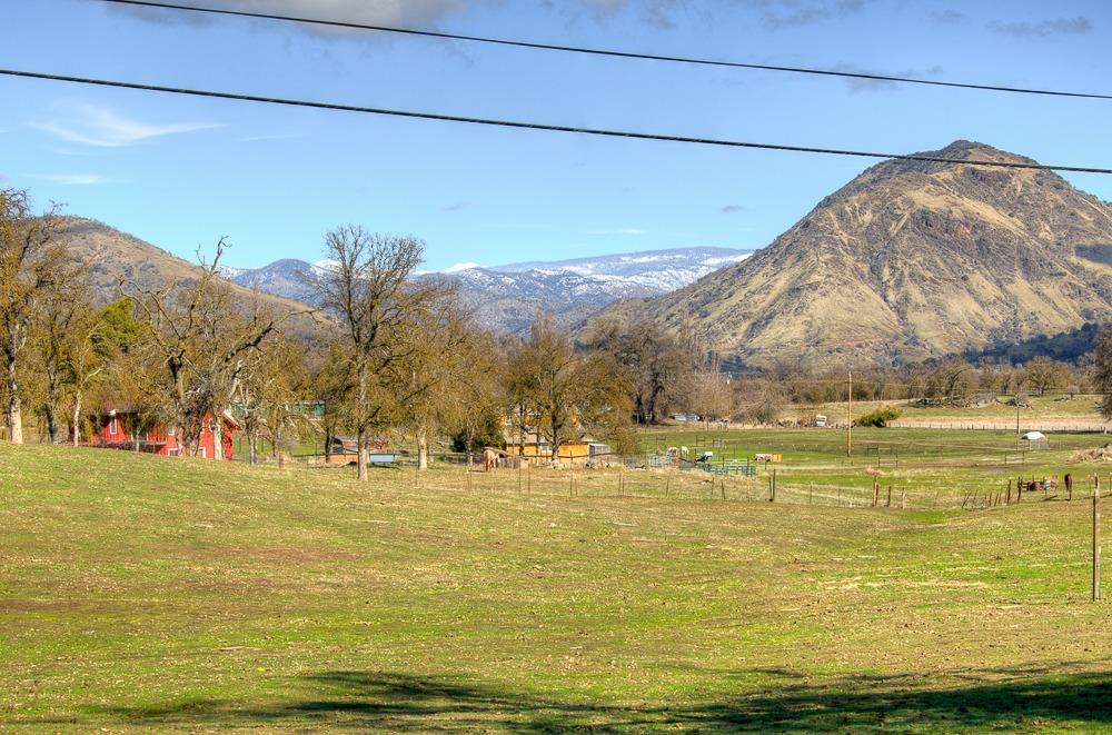 31776 Ruth Hill Road Squaw Valley, CA 93675 - Photo 54 of 54 Gallery Image 54