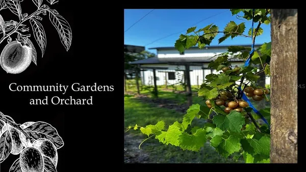 a view of a lake