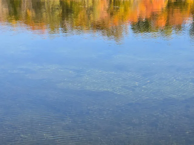 $399,000 | Tract B Blybergs Lane, Pelican Rapids, MN 56572