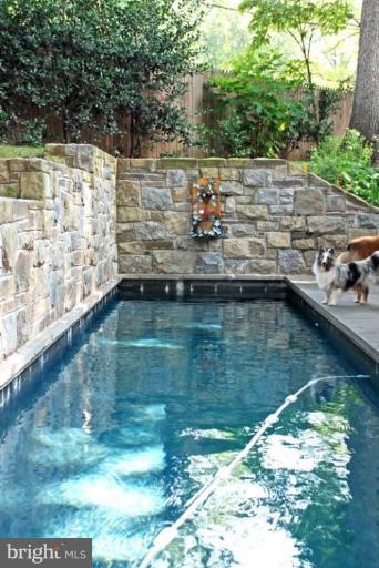 4994 Glenbrook Road Northwest Washington, DC 20016 - Photo 16 of 18 Swimming Pool