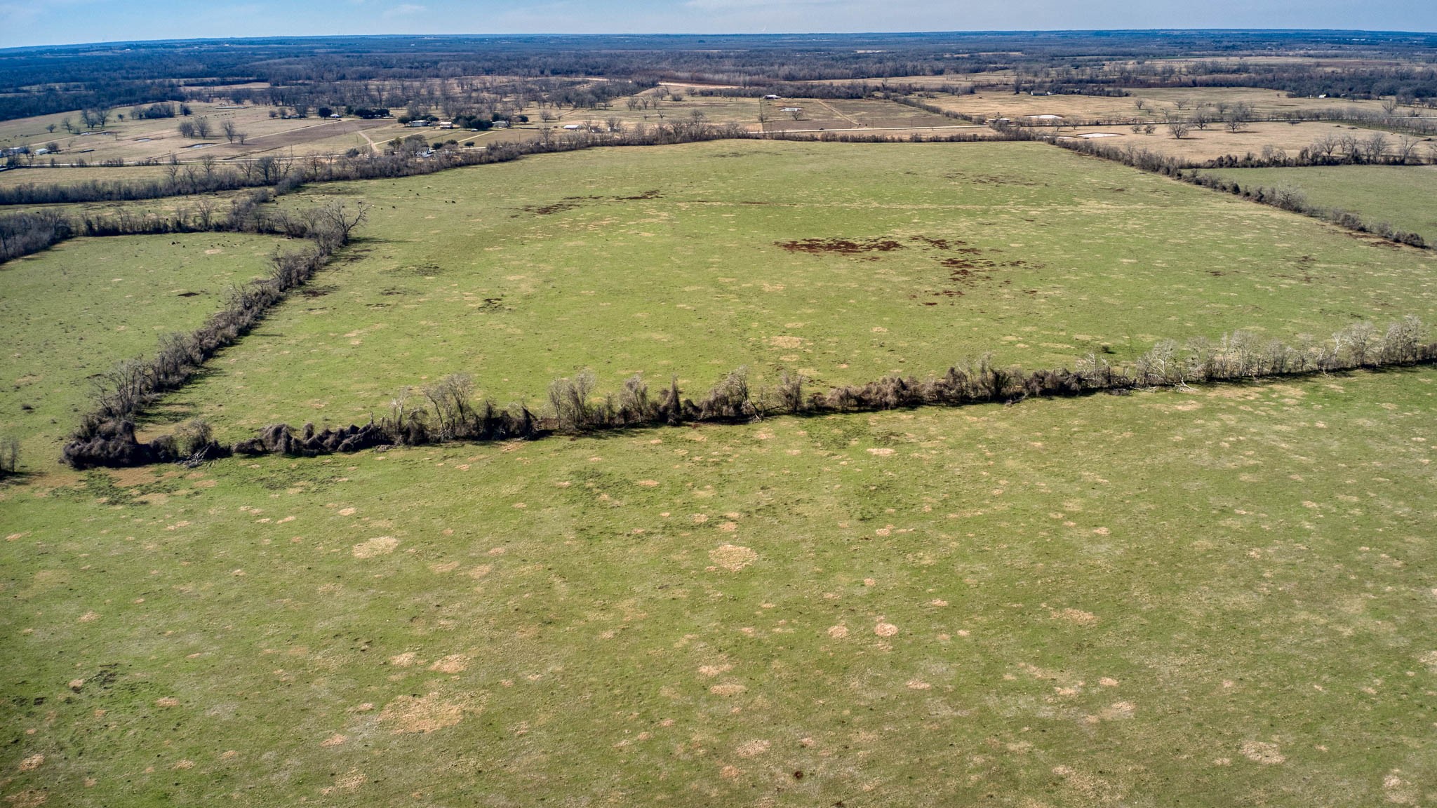 42919 Addie Gee Road Hempstead, TX 77445 - Photo 13 of 22