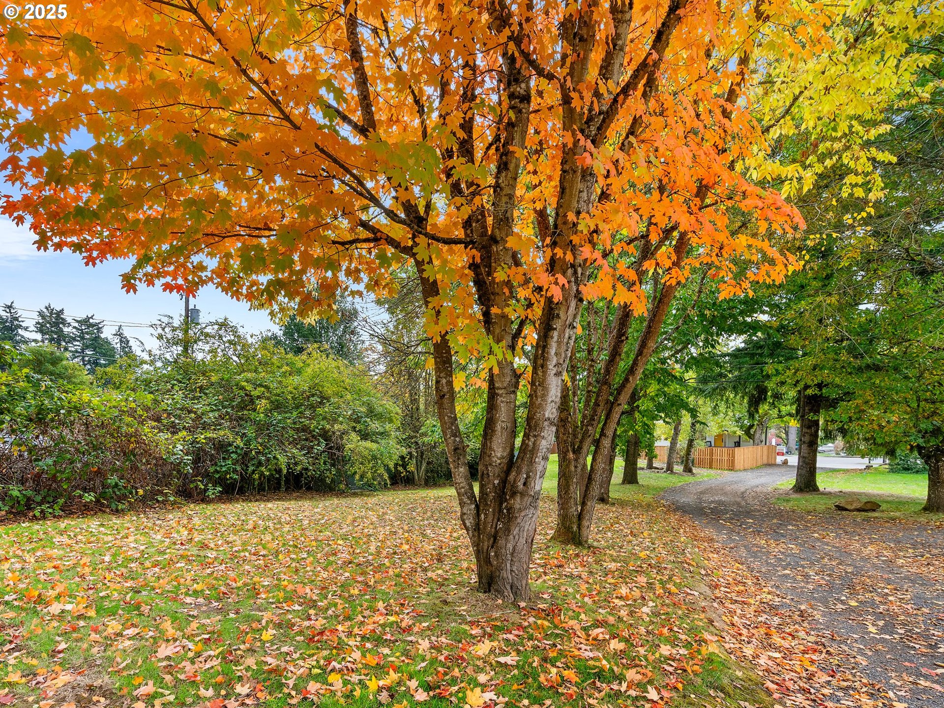 2311 Southwest 6th Avenue, Unit D2 Camas, WA 98607 - Photo 13 of 14