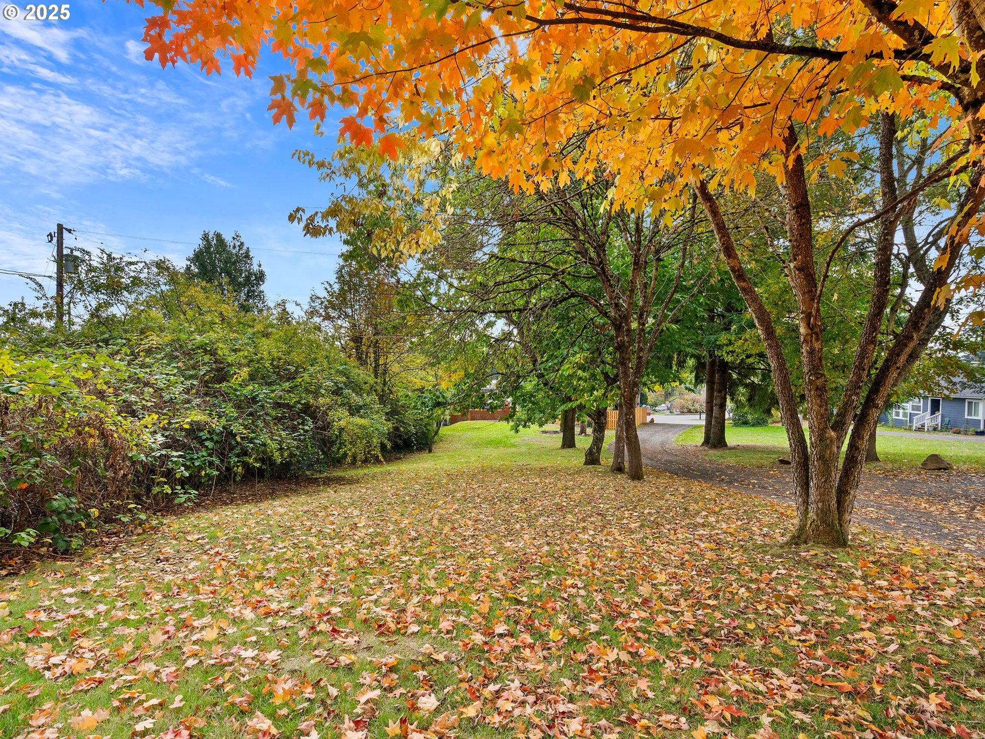 2311 Southwest 6th Avenue, Unit D2 Camas, WA 98607 - Photo 14 of 14