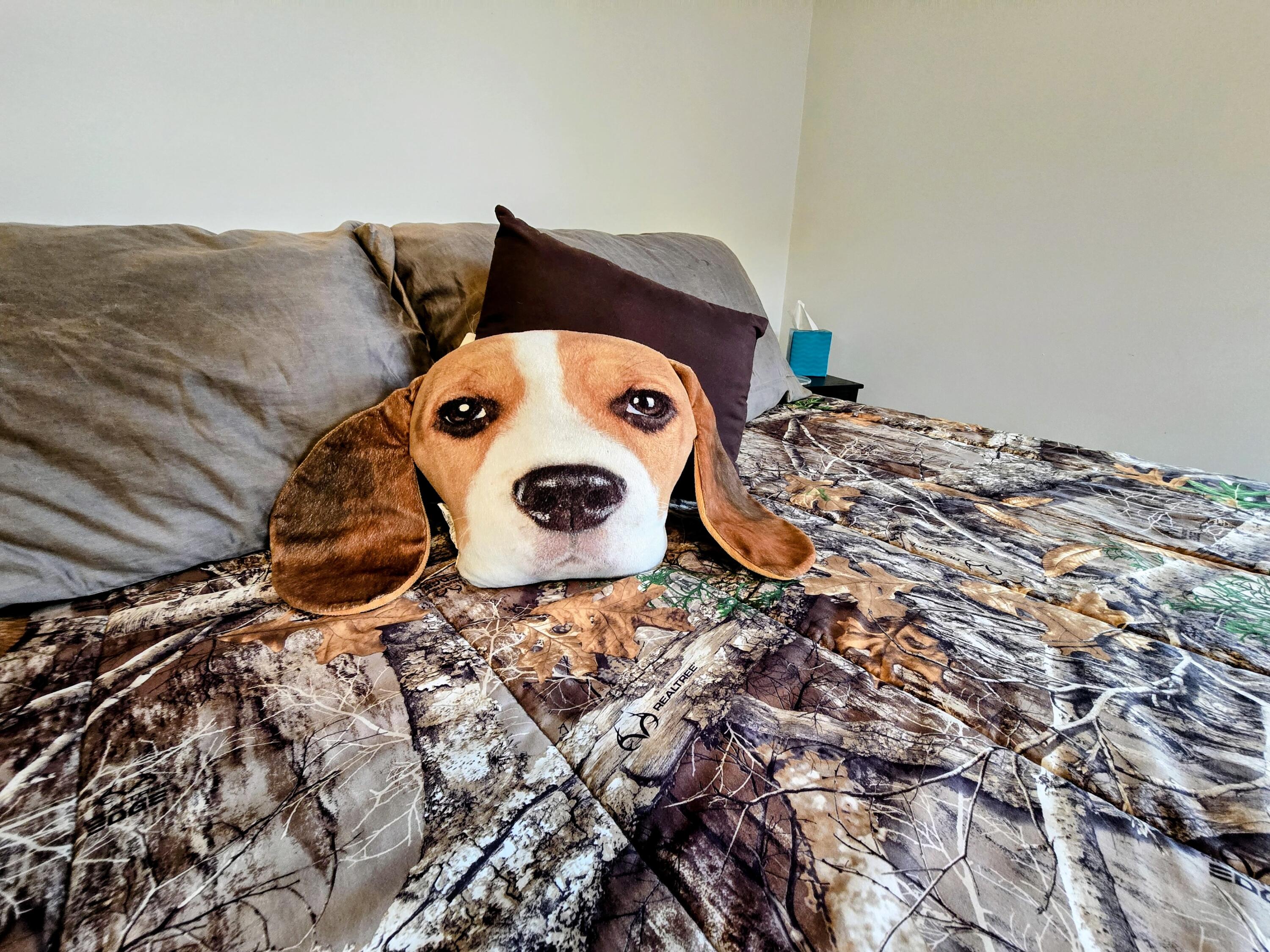 83 Phelan Street Sabattus, ME 04280 - Photo 60 of 105 20251107_105700~2