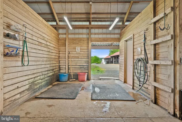 a view of backyard with cabin
