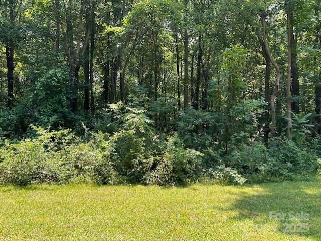 0 Nesbit Road Monroe, NC 28112 - Photo 2 of 4