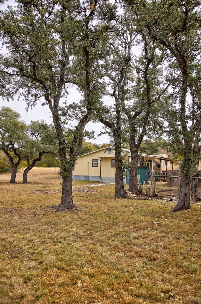 180 Bee Hive Road Hunt, TX 78024 - Photo 31 of 61