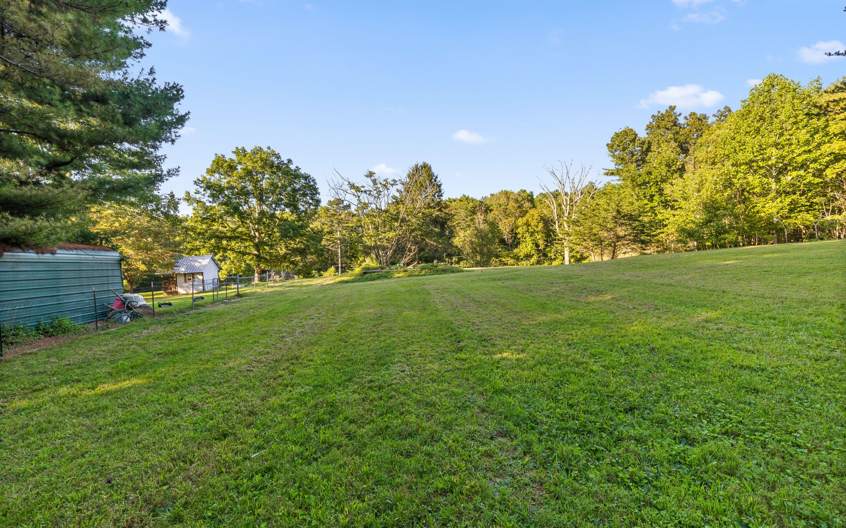 6015 Sawyer Road Signal Mountain, TN 37377 - Photo 32 of 44 Space to Play or Garden