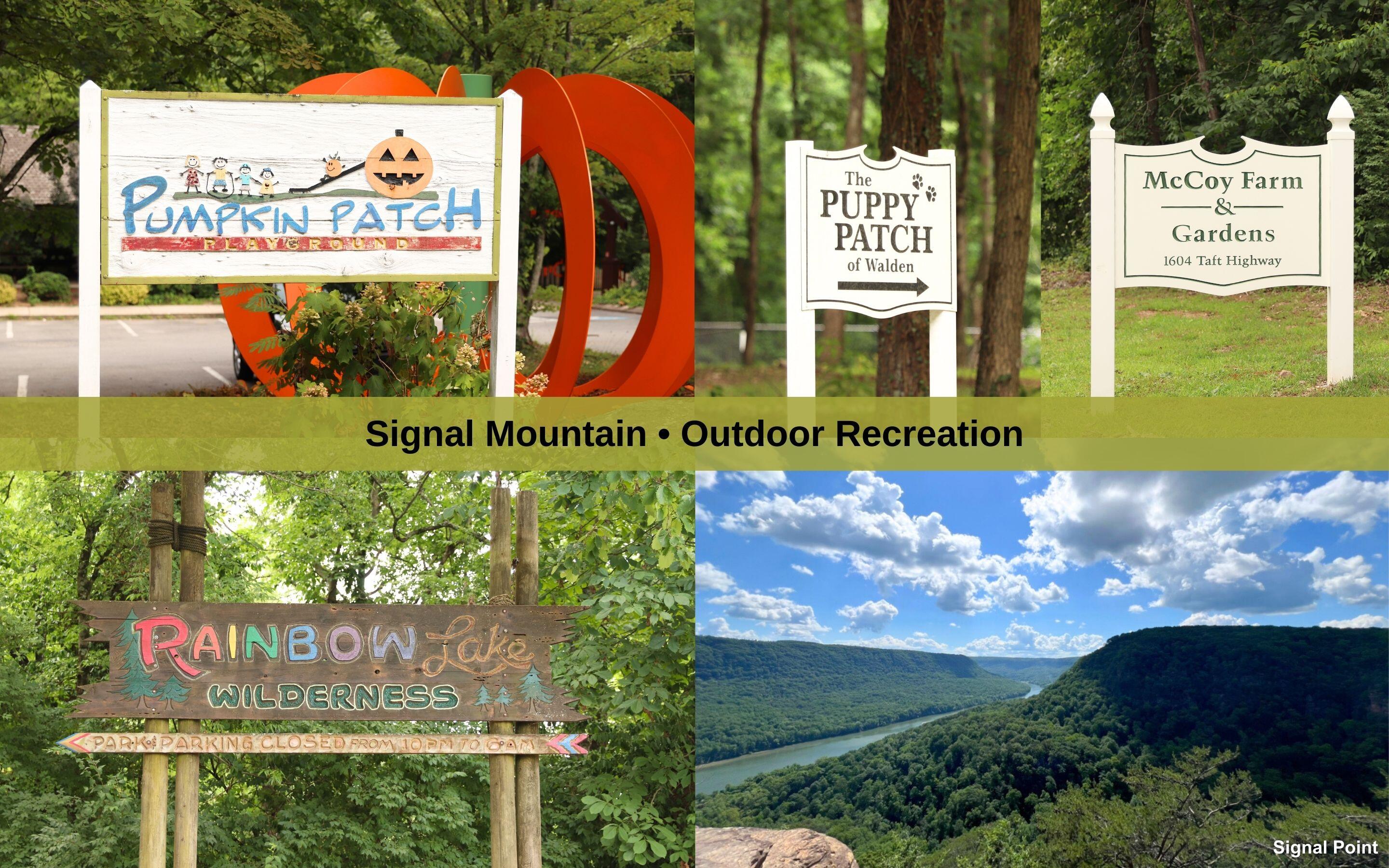 6015 Sawyer Road Signal Mountain, TN 37377 - Photo 37 of 44 Outdoor Recreation