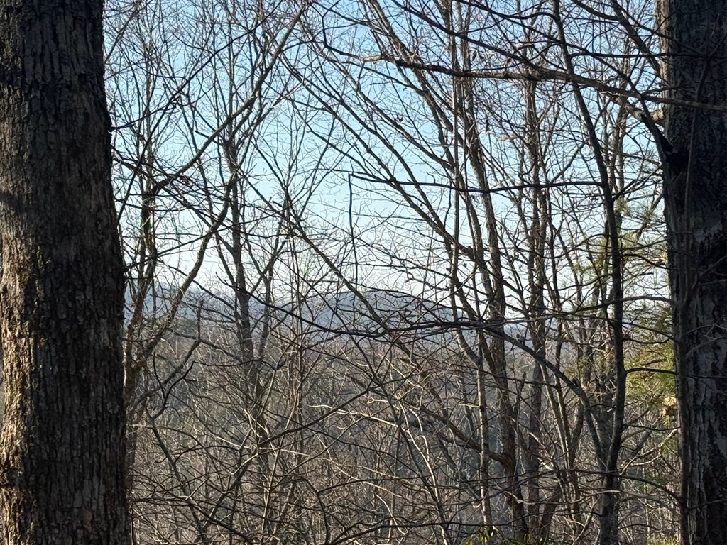 Lot 3 Willow Ridge Warne, NC 28909 - Photo 2 of 11 a backyard of a house with lots of trees