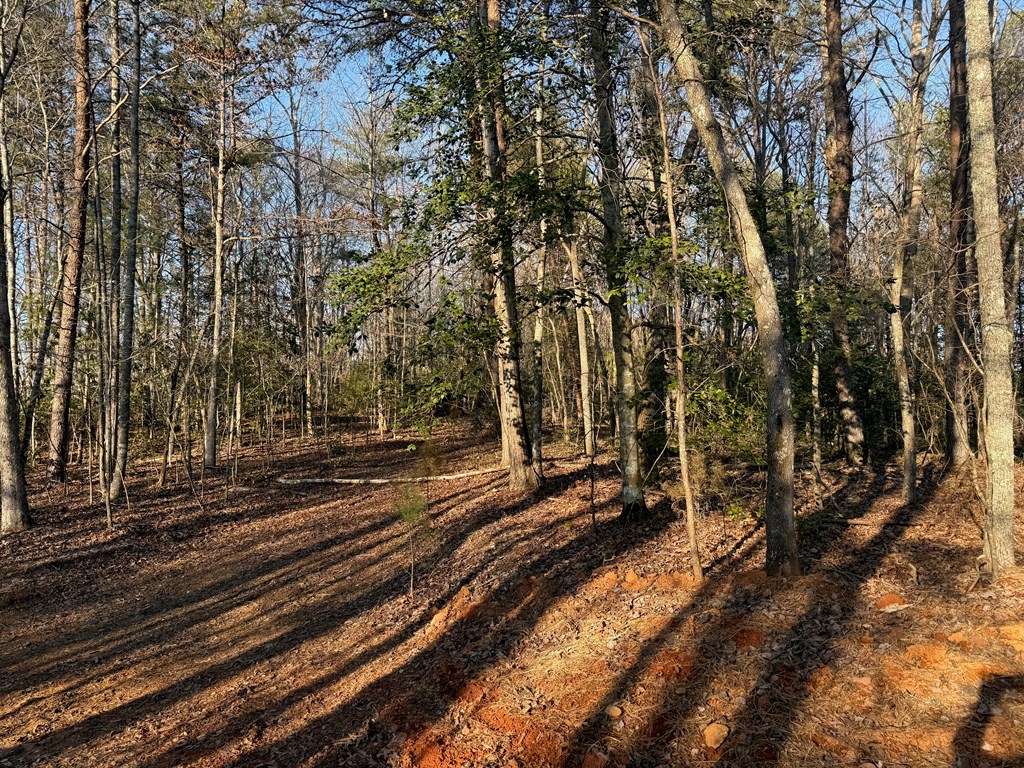 Lot 3 Willow Ridge Warne, NC 28909 - Photo 4 of 11 a view of a train tracks