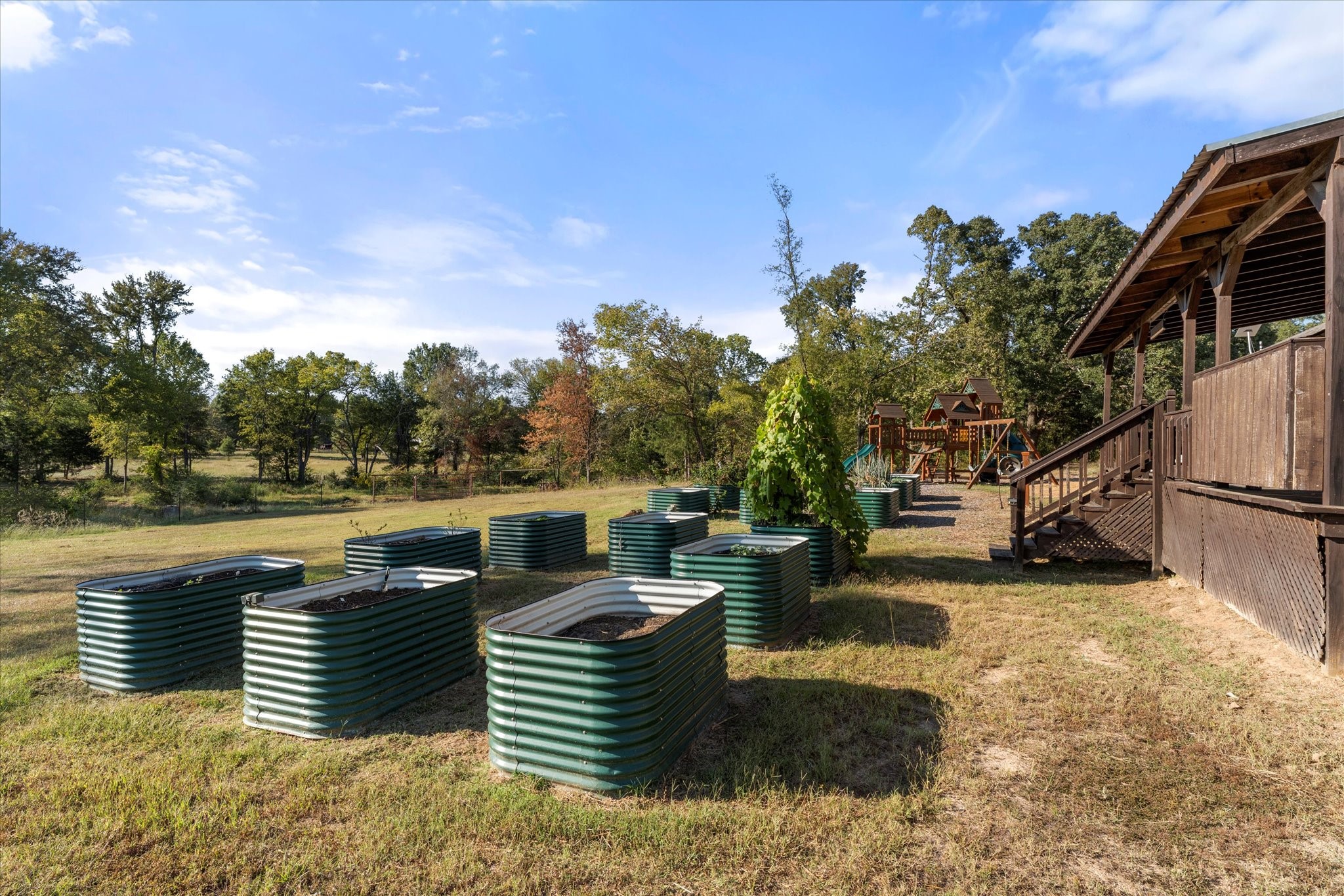 3115 Rains County Road 2610 Alba, TX 75410 - Photo 30 of 49
