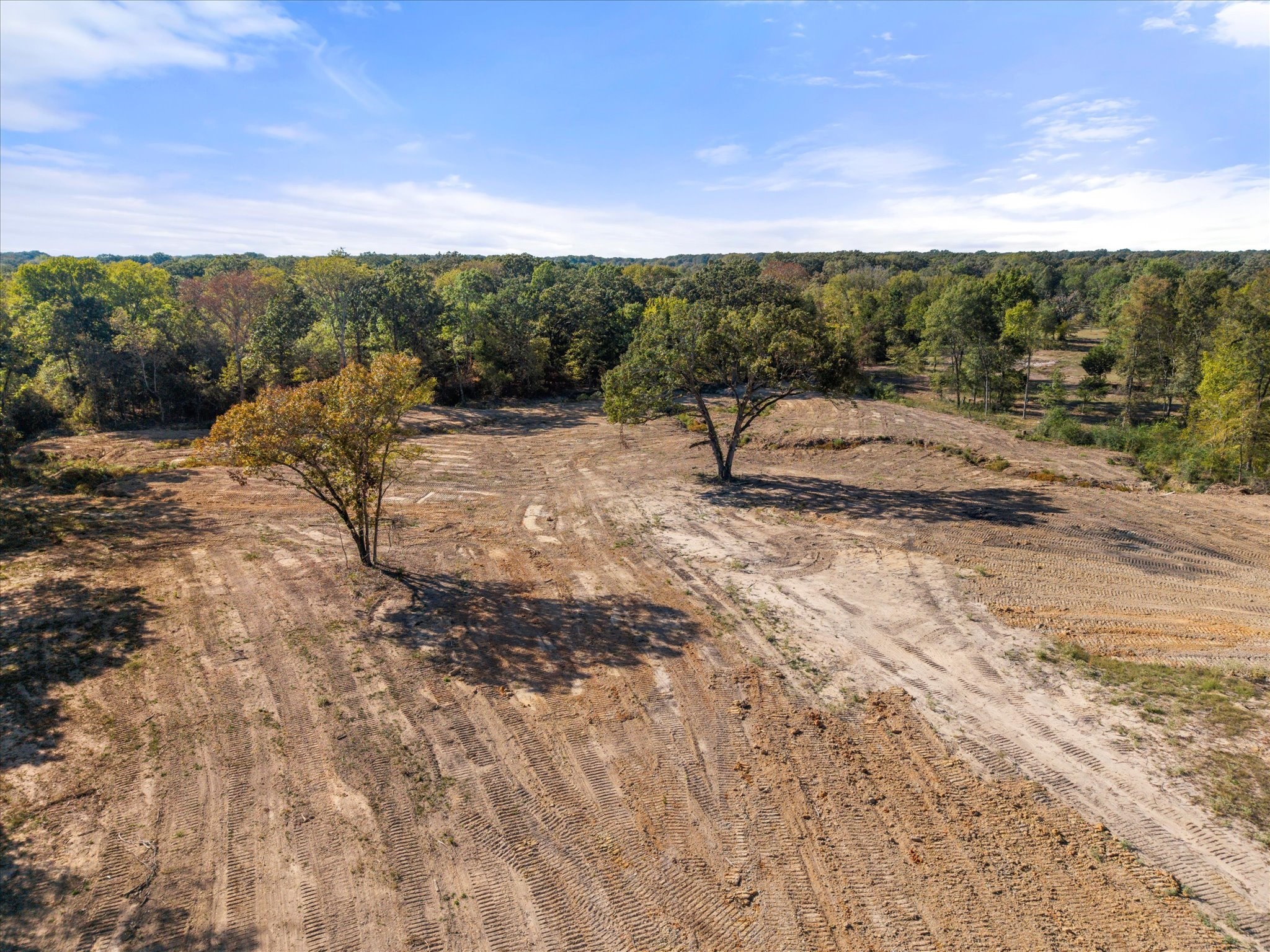 3115 Rains County Road 2610 Alba, TX 75410 - Photo 44 of 49 a view of a yard with a tree