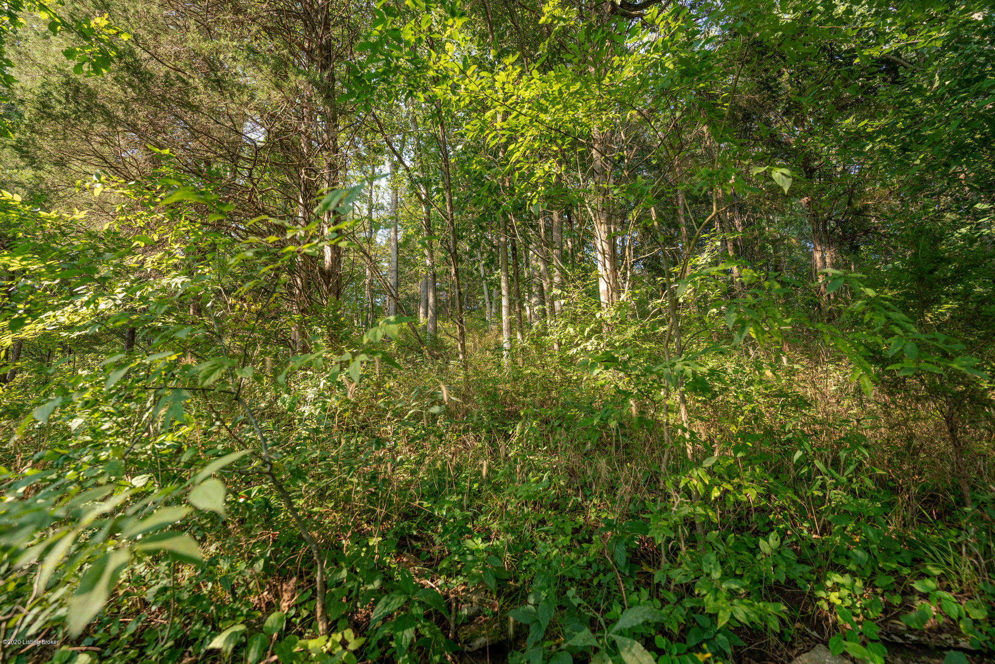 100 Deer Run Road Coxs Creek, KY 40013 - Photo 12 of 32 451 Deer Run Rd Coxs Creek KY 40013 (11