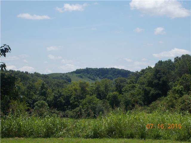 385 Chicken Creek Road Pulaski, TN 38478 - Photo 11 of 15 a view of a city with lush green forest