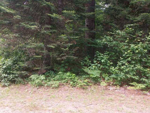 Nine 9 Mile Road Eagle River, WI 54521 - Photo 7 of 10 Gallery Image 7