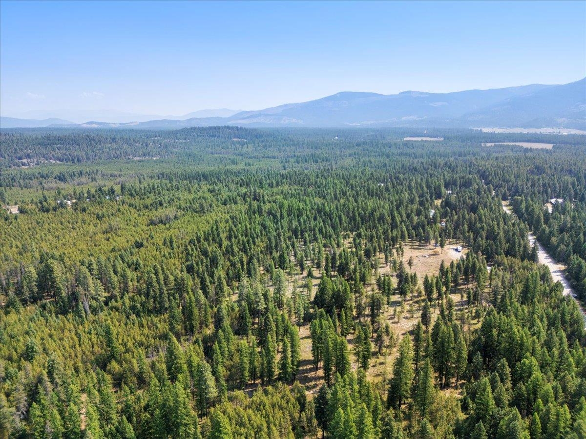 311 Bigfoot Road Newport, WA 99156 - Photo 6 of 22