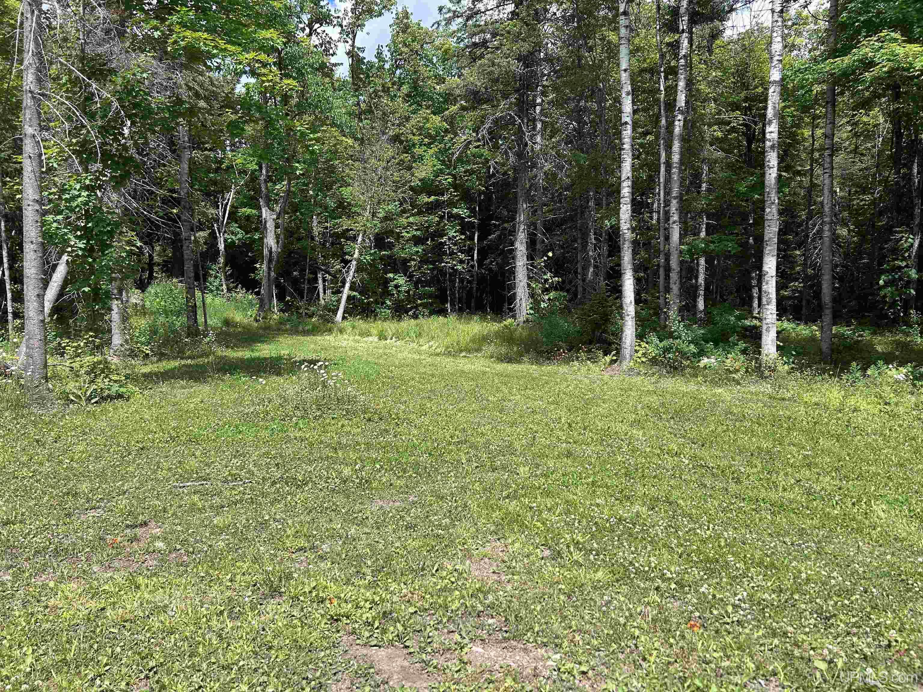 724 North County 519 Road Wakefield, MI 49968 - Photo 4 of 14