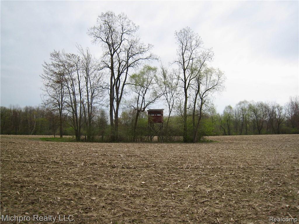Parcel 2 South Lapeer Road Metamora, MI 48455 - Photo 10 of 17