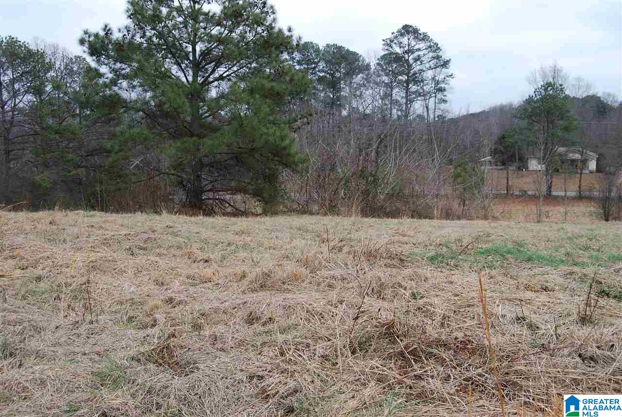 4747 Warrior Jasper Road, Unit 1 Dora, AL 35062 - Photo 9 of 9