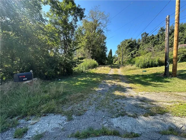 a view of a yard with a tree