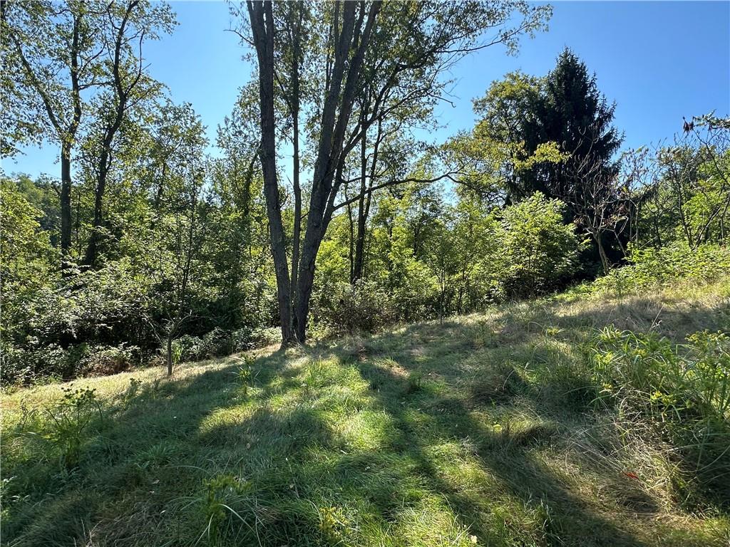 1441 Leckrone Masontown Road Masontown, PA 15461 - Photo 5 of 11 a view of outdoor space and trees all around