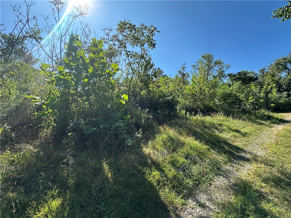 1441 Leckrone Masontown Road Masontown, PA 15461 - Photo 6 of 11 a view of a garden