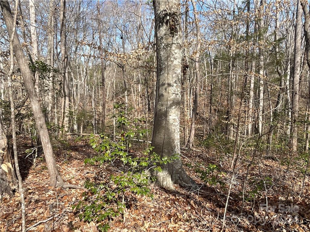 161 Little River Trail Fort Mill, SC 29707 - Photo 11 of 41