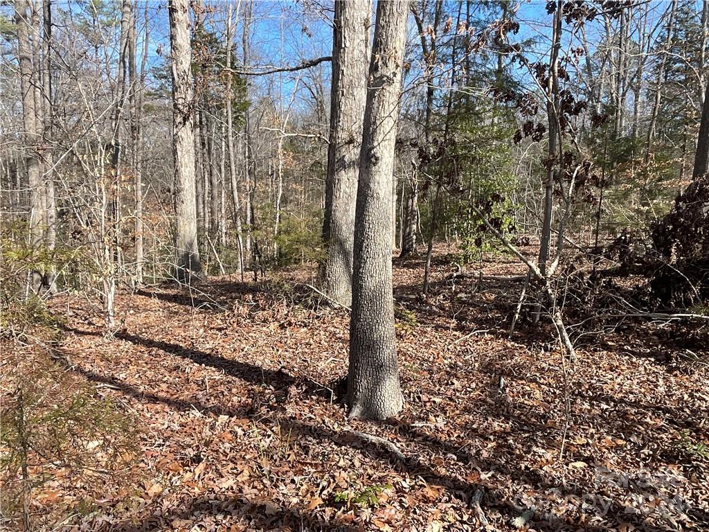 161 Little River Trail Fort Mill, SC 29707 - Photo 12 of 41