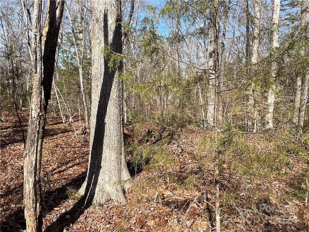 161 Little River Trail Fort Mill, SC 29707 - Photo 13 of 41